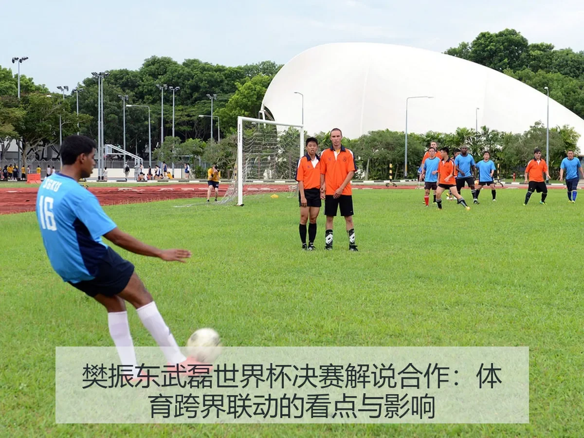 樊振东武磊世界杯决赛解说合作:体育跨界联动的看点与影响